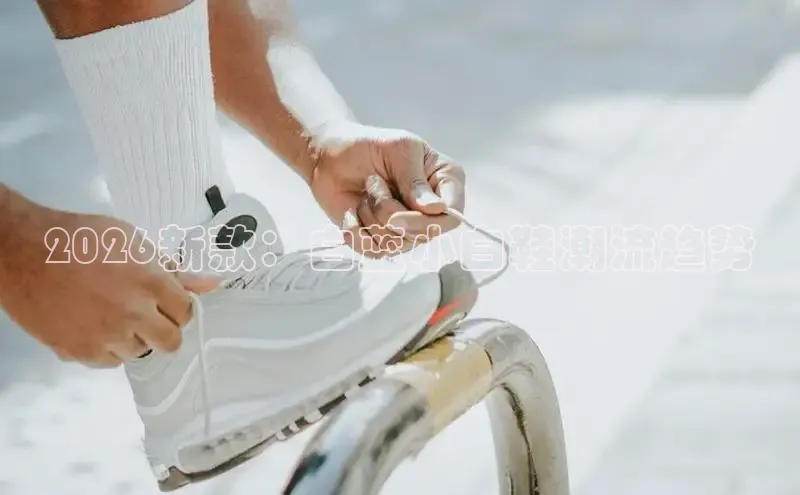 2026新款：白蓝小白鞋潮流趋势